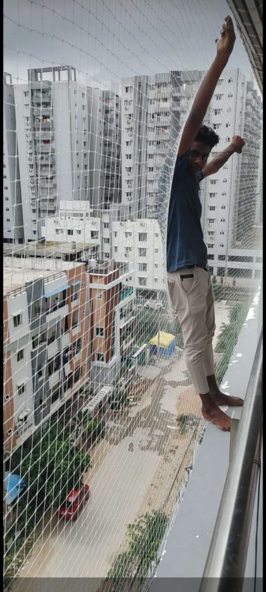 Coconut Tree Safety Nets